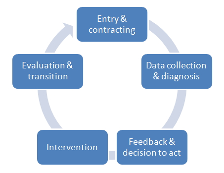 organisation_graphic